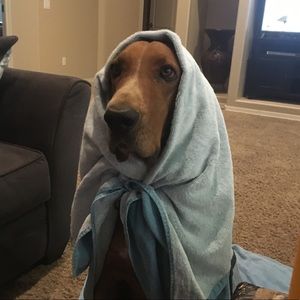 Meet your Posher, Miranda